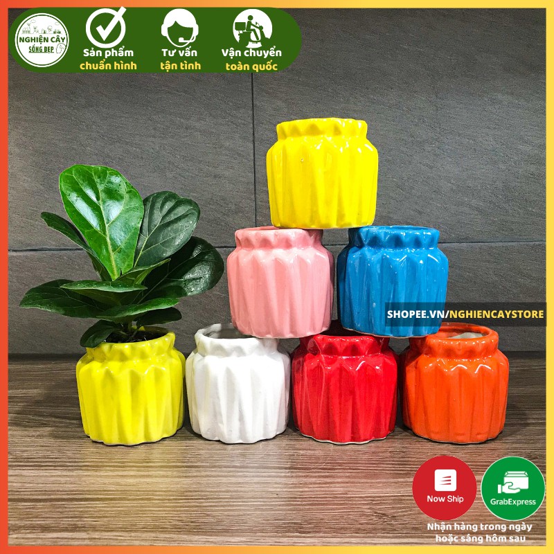 Chậu gốm sứ giọ cua Bát Tràng trồng hoa, cây cảnh (7x9cm)