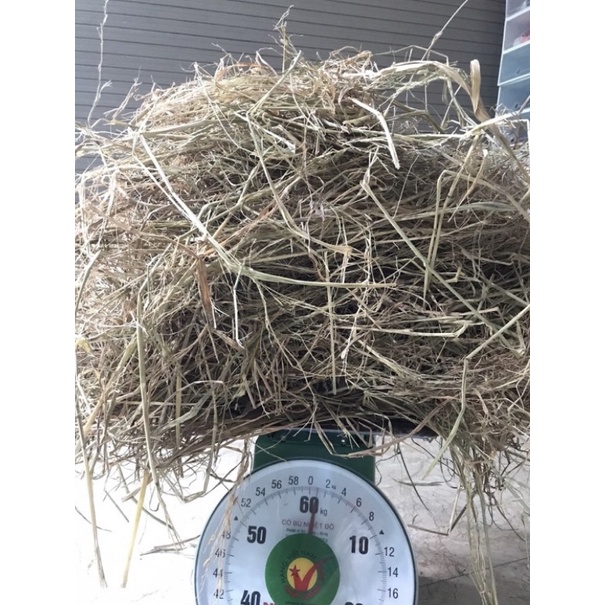 Rơm khô, rơm sạch làm trang trí, làm vườn, làm tổ cho vật nuôi... đóng gói 500g, 1000g