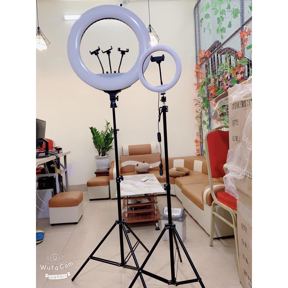 Đèn Livestream D26cm, 1 Kẹp Điện Thoại, 3 Chế Độ Sáng Livestream , Ticktok Hàng Cao Cấp