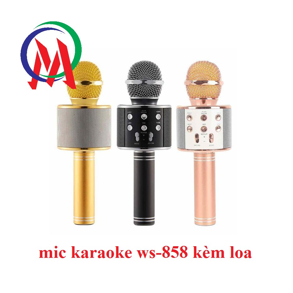 Micro Karaoke Bluetooth WS-858