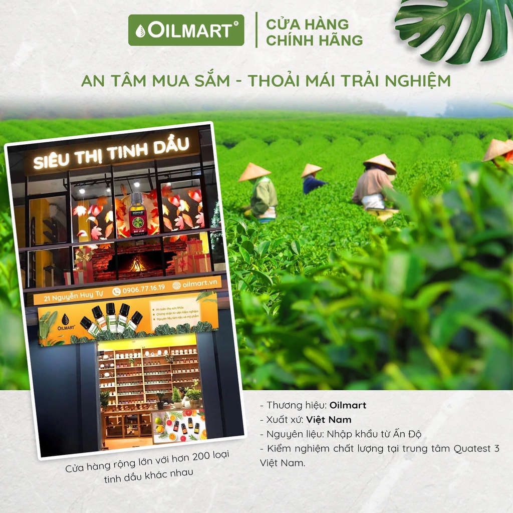Tinh Dầu Oilmart Cho Máy Phun Công Nghiệp - Bộ Sưu Tập: Nhà Hàng, Khách Sạn, Văn Phòng, Phòng Gym, Yoga 1 lít