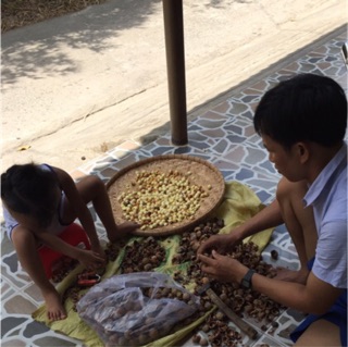 Dầu Mù U
