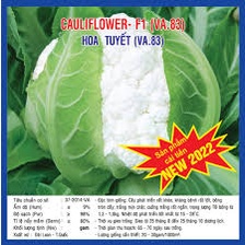 HẠT GIỐNG SÚP LƠ TRẮNG F1 GÓI 1GR