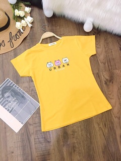 Áo thun Thái gấu nhỏ