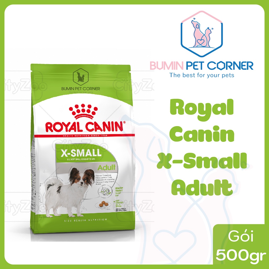 Royal Canin X-small Adult 500g - dành cho chó siêu nhỏ dưới 4kg trên 10 tháng tuổi