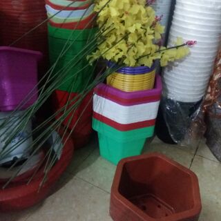 10 Chậu lục giác