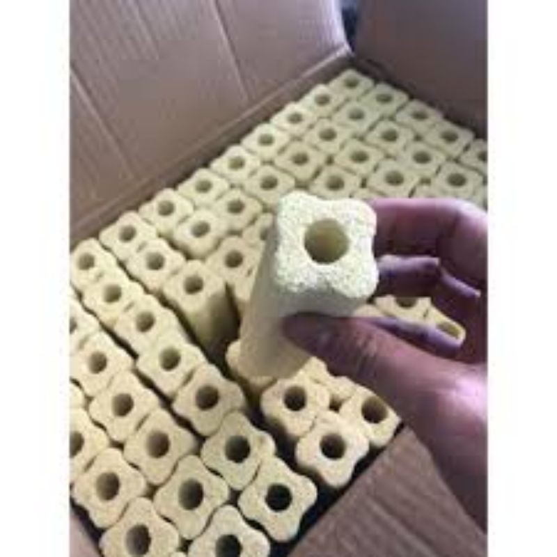 Sứ thanh hoa mai vàng