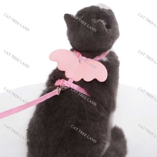 DÂY DẮT CHÓ MÈO KÈM ĐAI NGỰC, CÓ ĐÔI CÁNH THIÊN THẦN - VÒNG CỔ CHÓ MÈO - DÂY XÍCH THÚ CƯNG