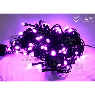 Dây đèn Led trang trí màu tím trơn 10m 96 bóng TTTM