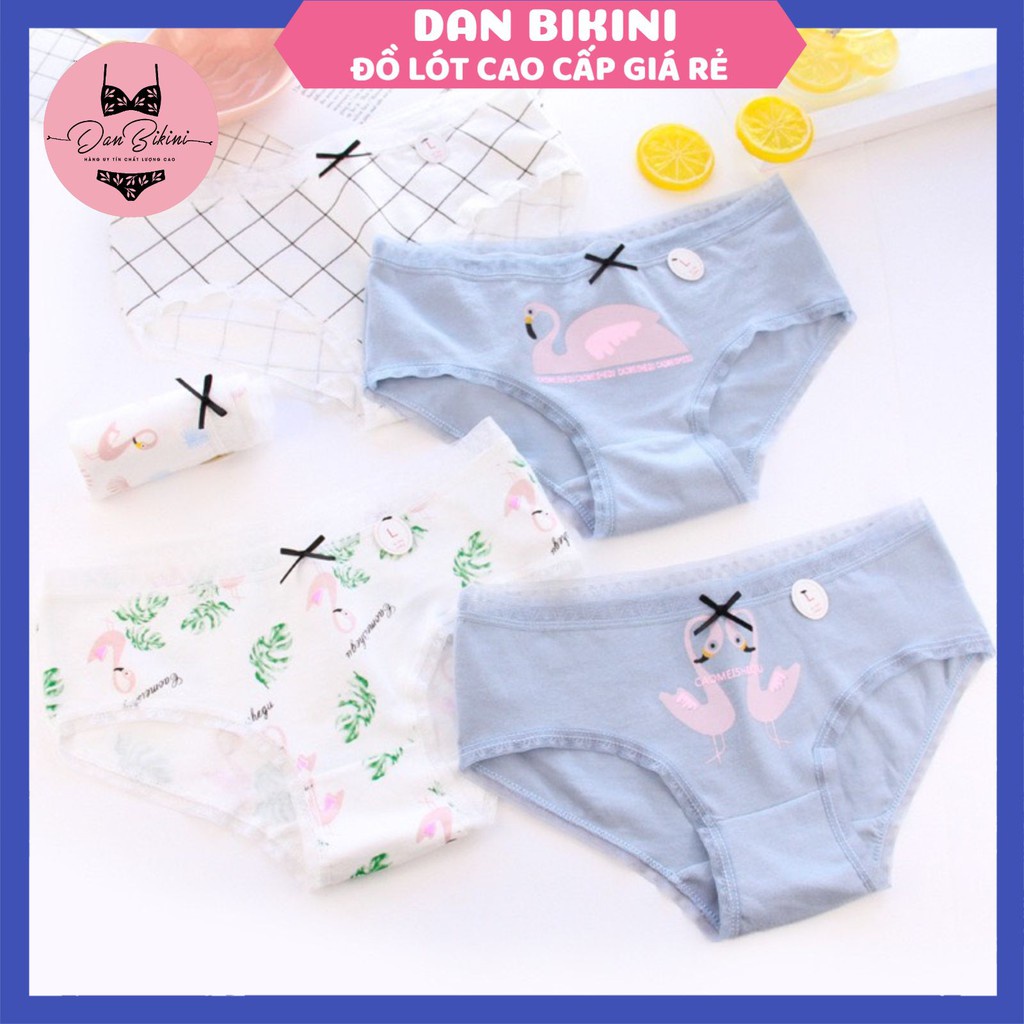 Quần Lót Nữ Cotton rẻ đẹp kháng khuẩn dễ thương màu sắc tươi mới trẻ trung mã C087