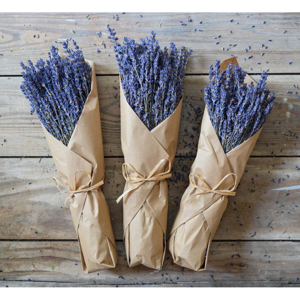 Hoa oải hương khô 💗FREESHIP💗 Hoa khô True Lavender nhập khẩu Pháp siêu tím, ít rụng