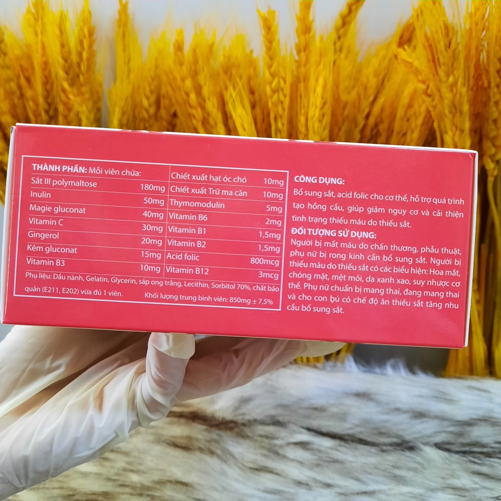 FE OSCAR,Viên uống bổ máu, bổ sung sắt, acid folic, vitamin B12