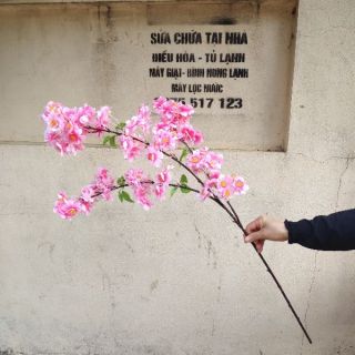 Combo 10 cành hoa đào chùm