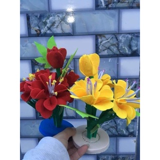 Hoa khóm nỉ