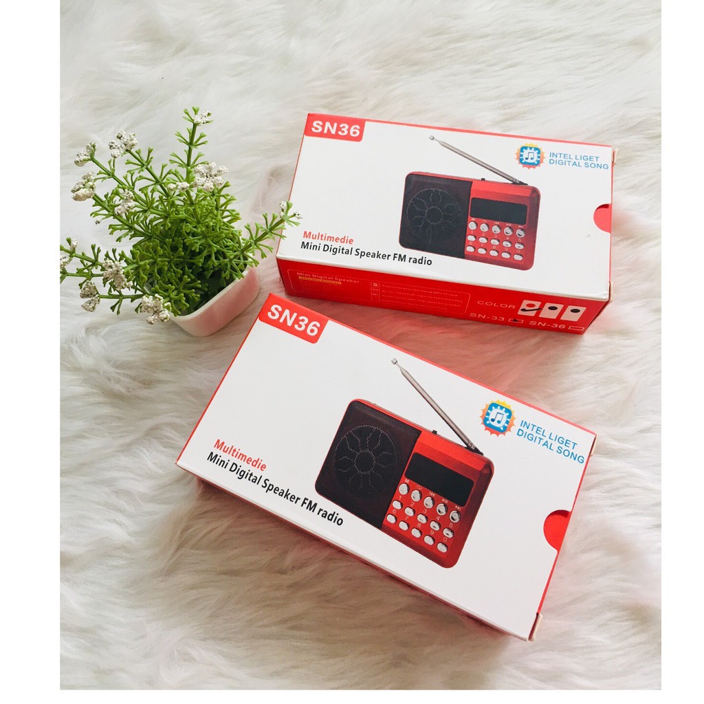 loa cắm thẻ, usb SN-36 nghe pháp