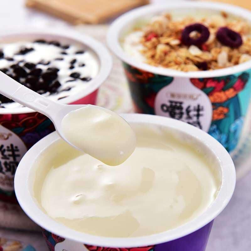 Sữa chua ngũ cốc yến mạch hoa quả sấy khô YAMI CHEW 145g