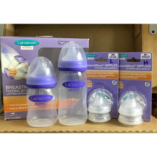 Bình sữa Lansinoh mOmma 160ml/240ml (chính hãng)