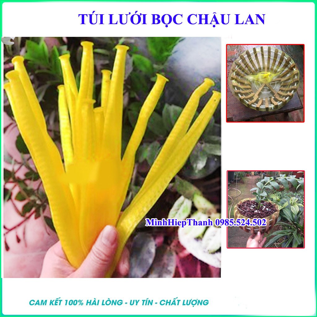 Combo 10, 20, 30 túi lưới bọc chậu lan dài 40cm