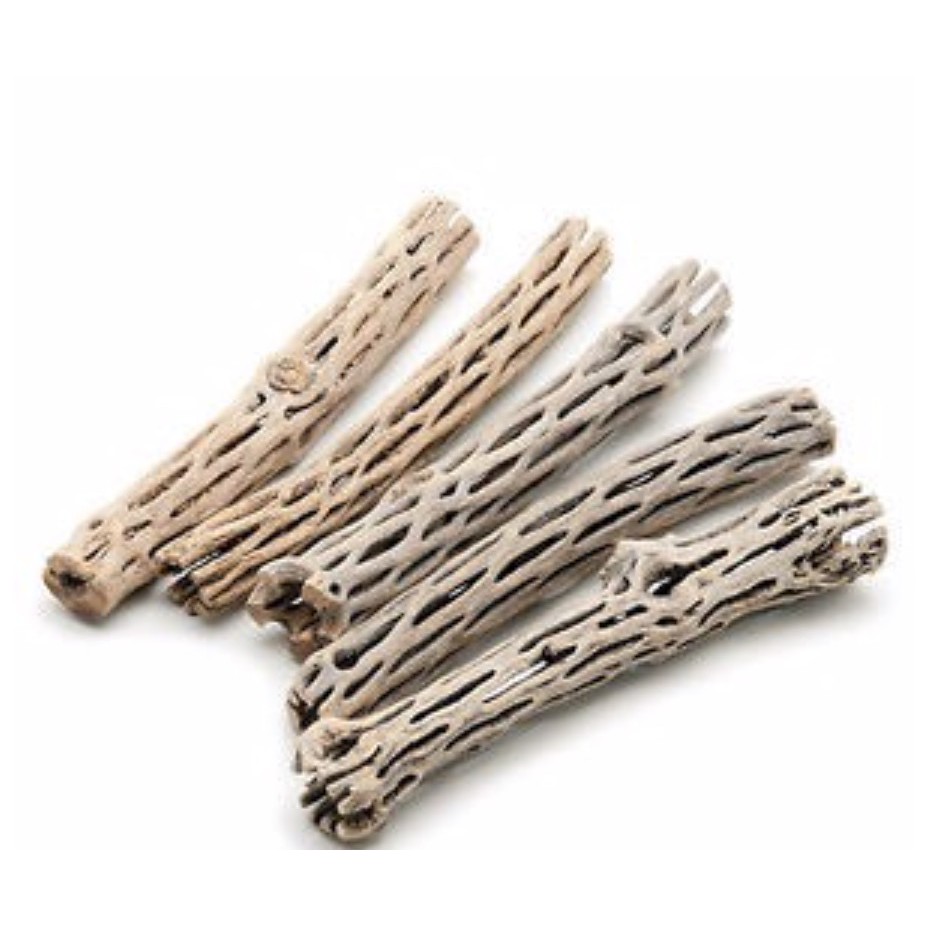 Lũa Cholla Cactus cho bể tép