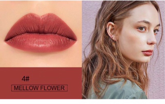 Son Heng Fang Dream Lip Colors Bản Dupe Của 3CE Mood