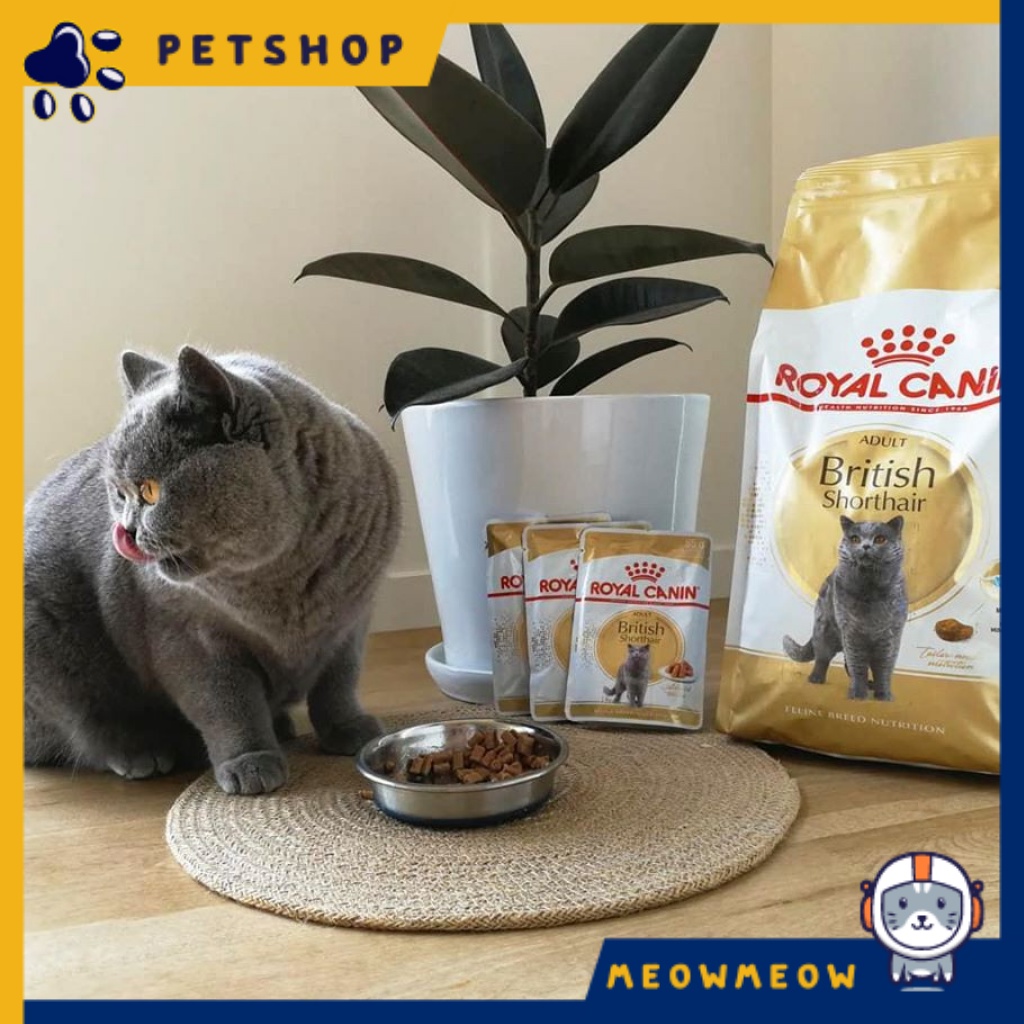 Pate cho mèo Royal canin Brishtish Shorthair | Túi 85Gr | Pate dinh dưỡng dành cho mèo anh lông ngắn.