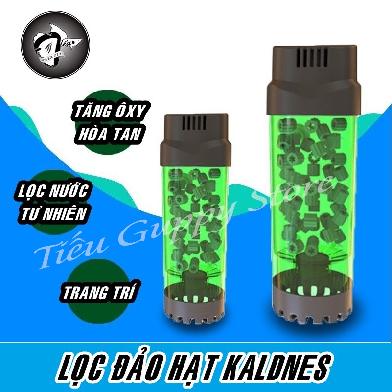 Lọc Đảo Kaldnes Quanvee LH300 và LH600 (có kèm lọc Kaldnes bên trong)