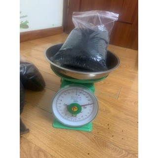 PHÂN NỀN GEX 1kg CHO BỂ THUỶ SINH