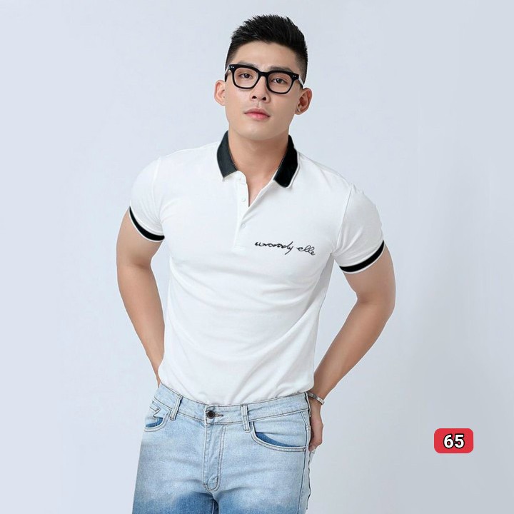 Áo thun nam nam có cổ tay ngắn Vải Thun Cotton cao cấp 100%