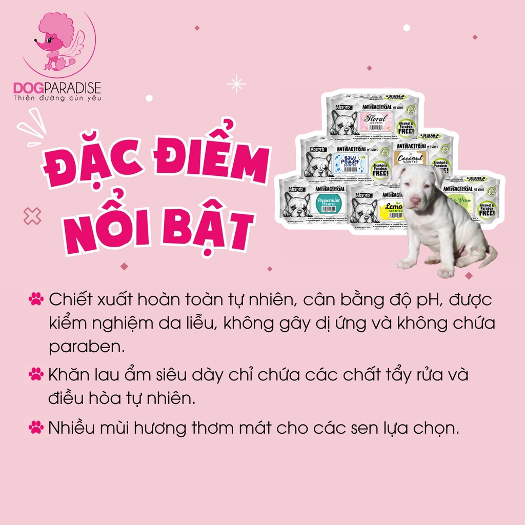 Khăn giấy kháng khu.ẩn Absorb Plus cho chó mèo trên 6 tuần tuổi nhiều mùi hương gói 80 miếng - Dog Paradise