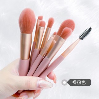 set cọ 8 cây