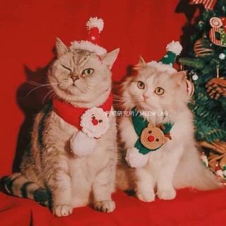 Combo mũ khăn choàng Noel cho chó mèo thú cưng dễ thương