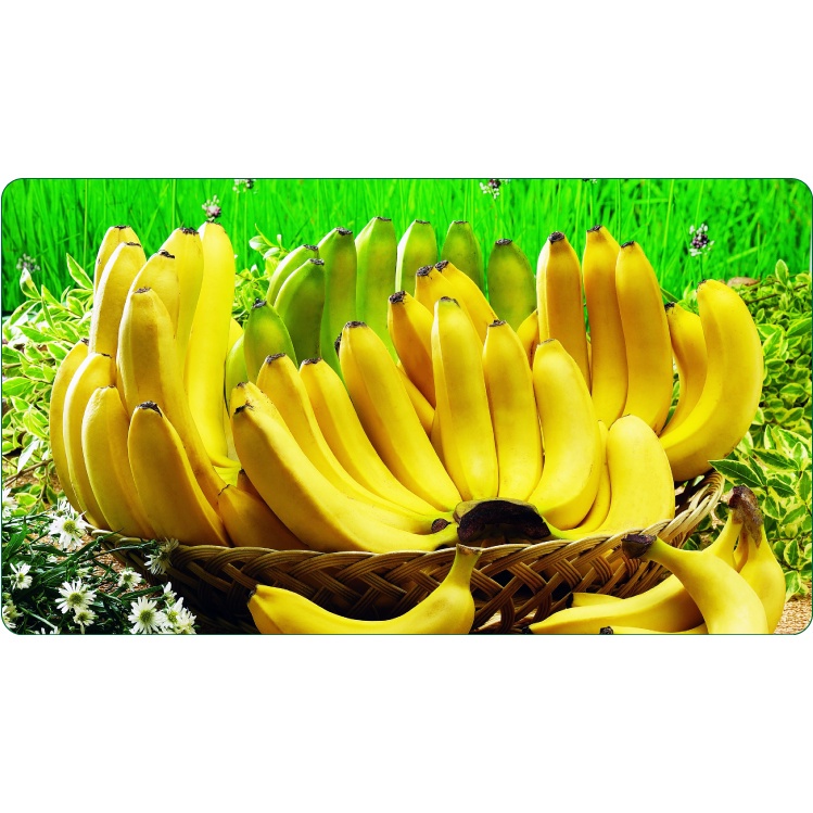 CÂY GIỐNG CHUỐI MẬT LÙN NAM MỸ. .