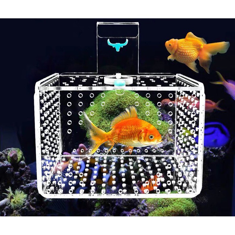 Lồng dưỡng cá / Lồng mica tách cá- tép