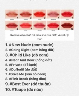 Son 3Ce Velvetliptint