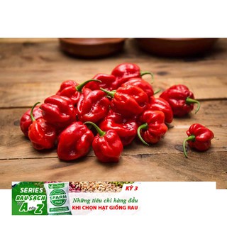 5 hạt giống ớt siêu cay red habanero