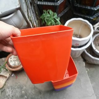 chậu vuông 16cm