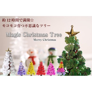 Cây Thông Thần Kỳ - Magic Xmas Tree (Non-Toxic)