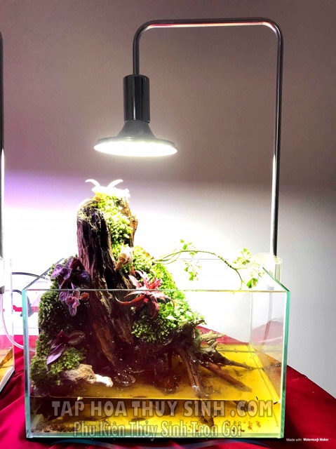 ĐÈN LED KẸP XIMA CHO BÁN CẠN VÀ THUỶ SINH