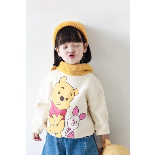 COMBO 3 ÁO NỈ THÚ NGỘ NGHĨNH CHO BÉ