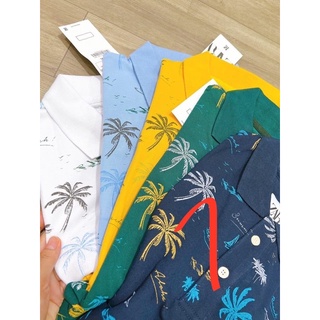 combo Áo cổ trụ size S M L XL(2020)