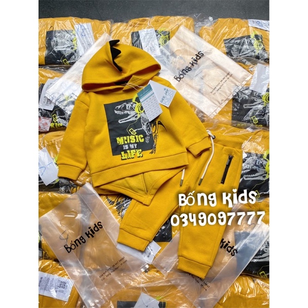 Bộ Nỉ Hoodie Bé Trai Khủg Log Vàng GJ