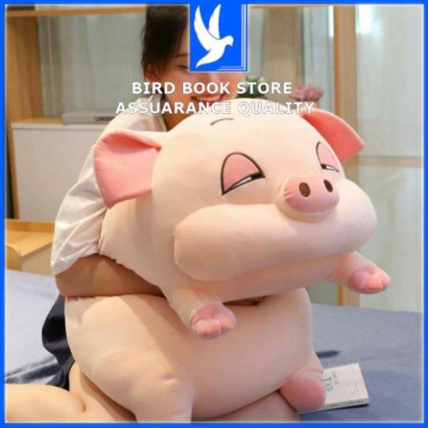 Gối ôm ngủ Lợn phê cần - Gấu bông heo béo ú đáng yêu ngộ nghĩnh Bird book