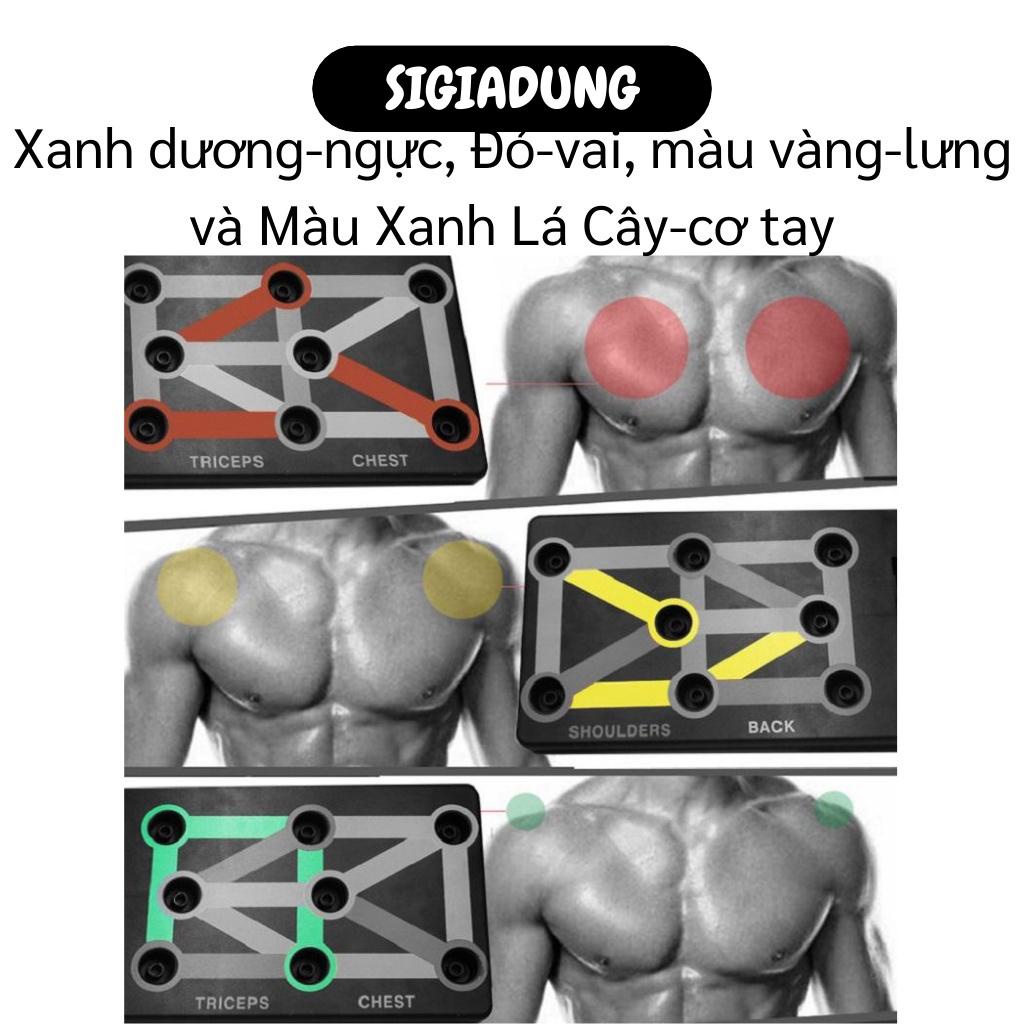 [SGD] Bảng Chống Đẩy - Dụng Cụ Tập Hít Đất, Tập Gym Tại Nhà Có Kẻ Vạch Hướng Dẫn 8279