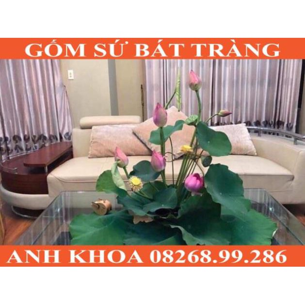 Bát thả hoa mẫu mới Bát Tràng - Gốm sứ Bát Tràng Anh Khoa