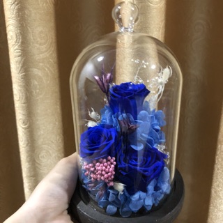 Hoa hồng vĩnh cửu