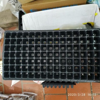 Combo 5 khay ươm hạt giống, cây con