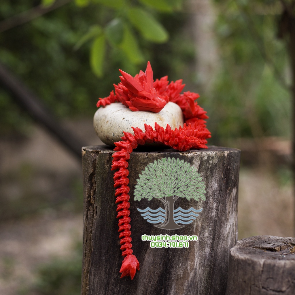 Mô Hình Rồng Crystal_rồng băng cử động khớp linh động bằng công nghệ in 3D trang trí nhà cửa, phong thủy