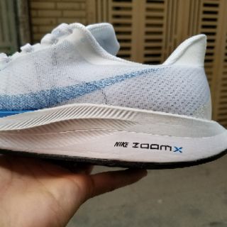 Giày thể thao Nike Zoom Pegasus