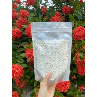 SÁP HARD WAX BEANS #100gr
