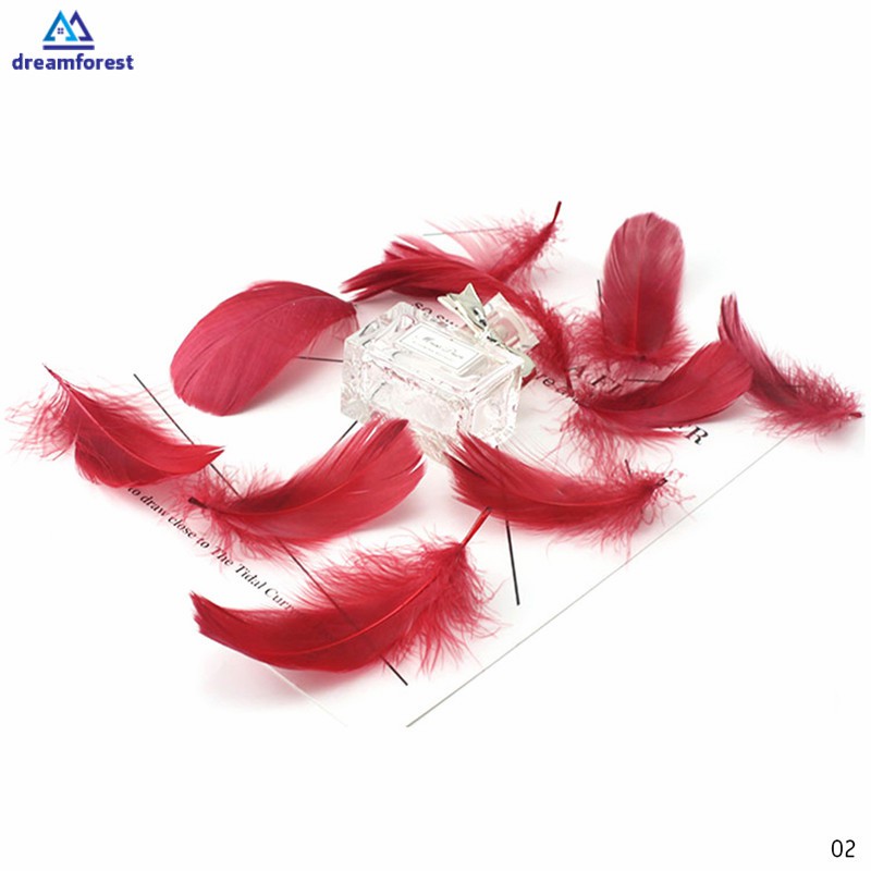 100 lông vũ tự nhiên 8-12cm dùng để trang trí lưới bắt giấc mơ DIY